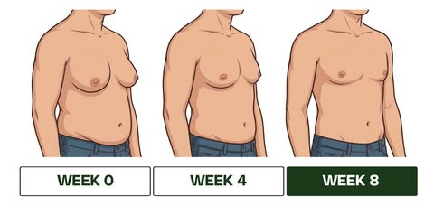 Illustrated chest at week 0, week 4 and week 8